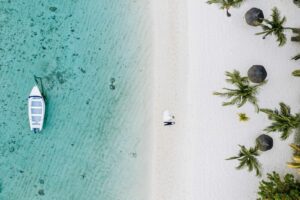 aerial view of green palm trees on white sand beach during daytime in Mauritius